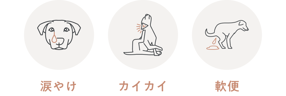 まぐろ＆たら（成犬用）800g｜国産・小型犬用 OBREMO