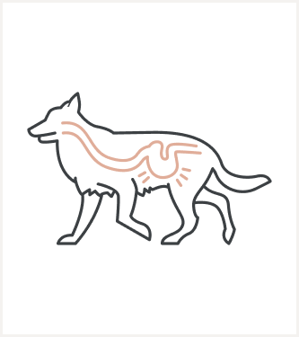 馬肉（成犬用）800g｜国産・小型犬用 OBREMO